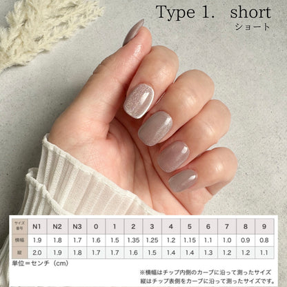 Brume  ブリュム マグネットネイル 水色 シンプルネイル ネイルチップ